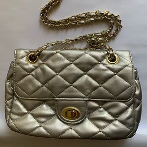 Silver purse with gold accents